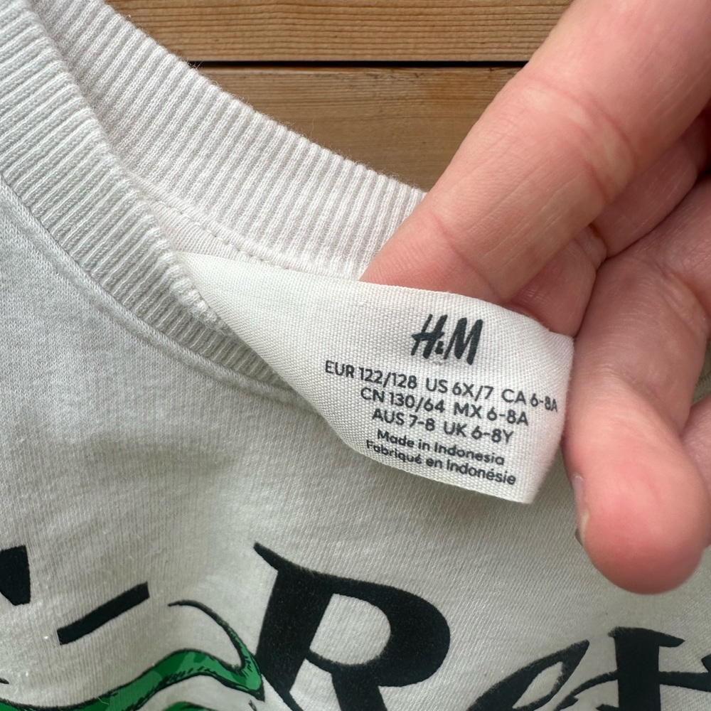 H&M Kids Cream Dinosaur Reptile Sweatshirt - Size 6 - Picture 3 of 3